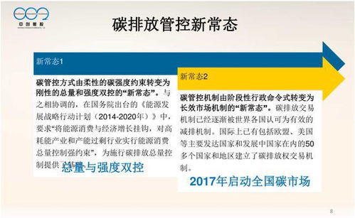 構(gòu)建大型控排企業(yè)高效碳資產(chǎn)管理體系 策略、實(shí)踐與數(shù)字化工具
